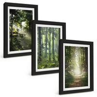 BILDER SET 3er Set - 20x30 cm Schwarzer Rahmen - Grüne Wälder mit Lichtstrahlen - Schwarz, Kunststoff (20/30cm) - TULUP