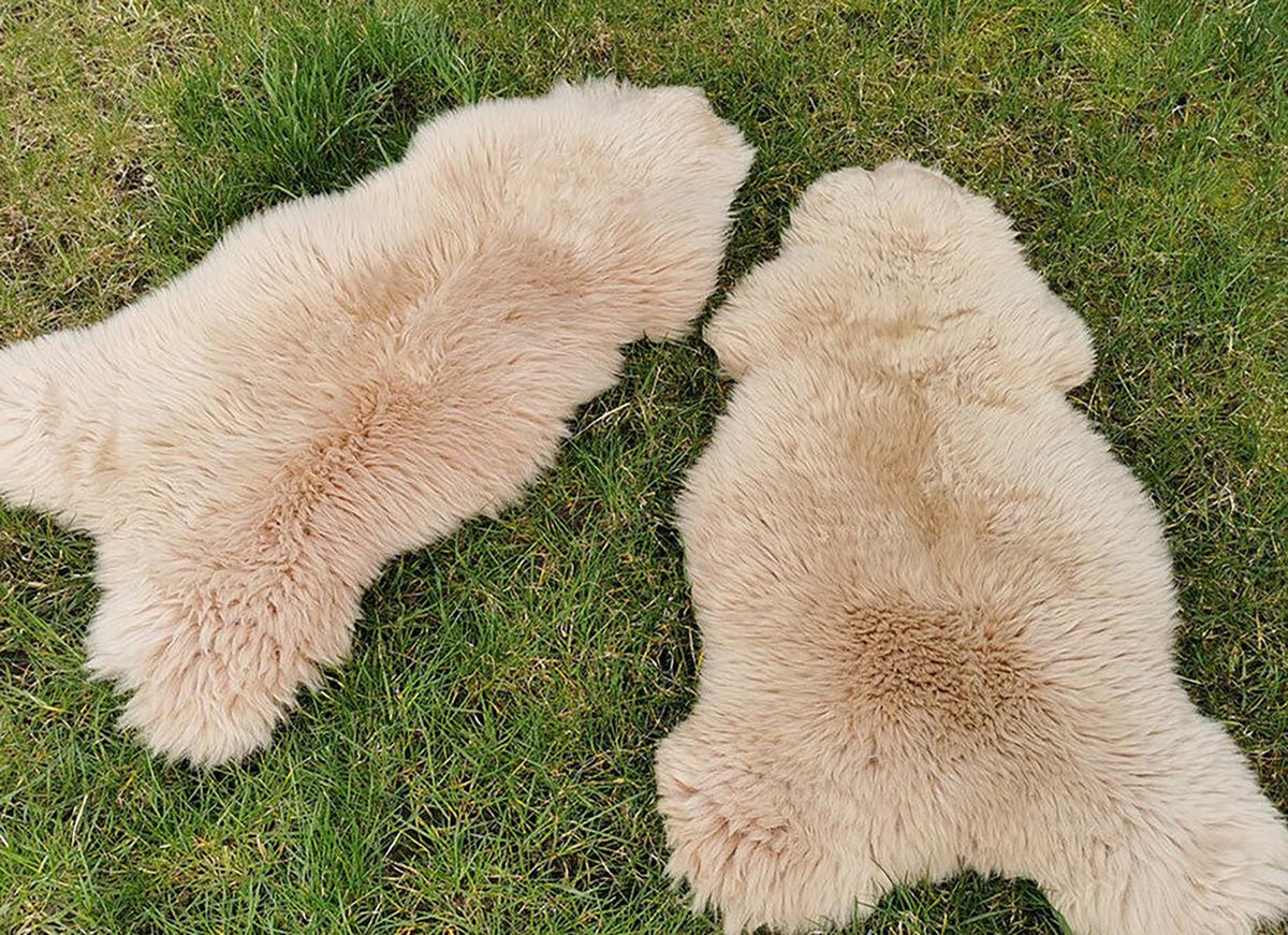 SCHAFFELL Natur Lammfell Weich Flauschig Wohnteppich, Cappuccino, ca. 130 cm - Cappuccino, Fell (70/130cm) - Provellus