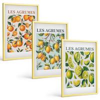 BILDER SET 3er Set - 40x60 cm Goldrahmen - Fruchtige Zitrus-Pastellmuster - Goldfarben, Kunststoff (40/60cm) - TULUP