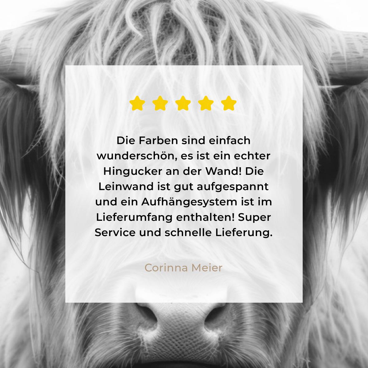 LEINWANDBILD Schottischer Highlander - Nebel - Schwarz - Weiß Gemälde 60x40 cm - Grau, Textil (60/40cm) - MuchoWow