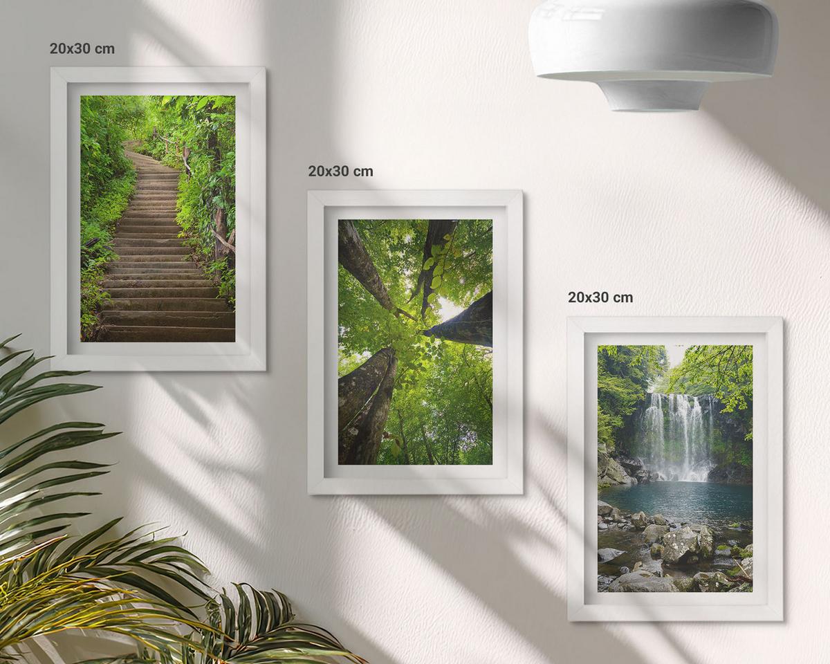 BILDER SET 3er Set - 20x30 cm Weißer Rahmen - Pfad Wald Wasserfall Vegetation - Weiß, Kunststoff (20/30cm) - TULUP