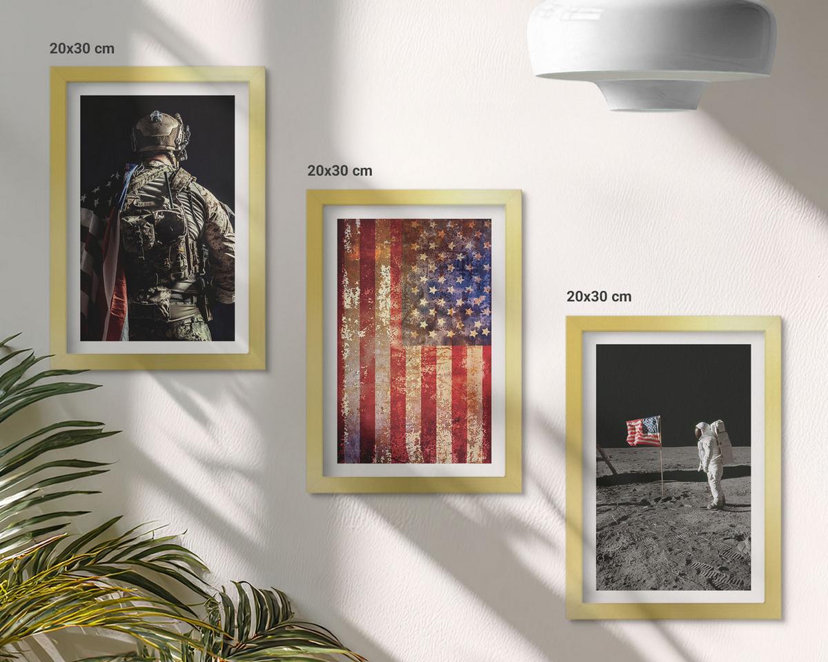 BILDER SET 3er Set - 20x30 cm Goldrahmen - Amerikanische Symbole, USA-Flagge - Goldfarben, Kunststoff (20/30cm) - TULUP