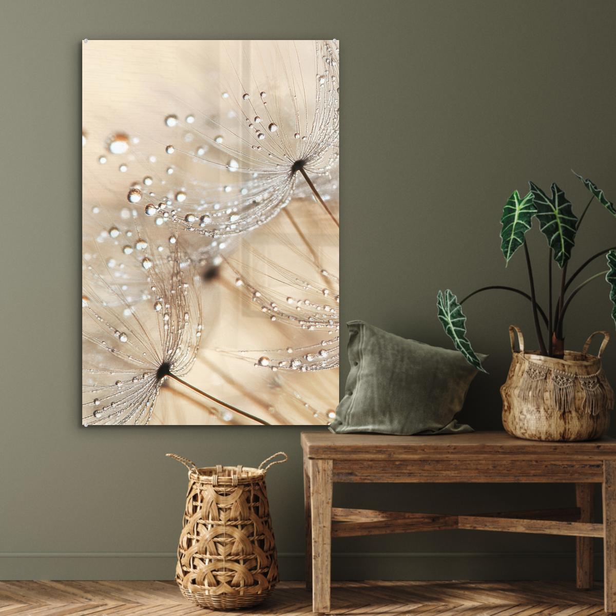 ACRYLGLASBILD Löwenzahn - Abstrakt - Natur - Beige 80x120 cm - Braun, Glas (80/120cm) - MuchoWow