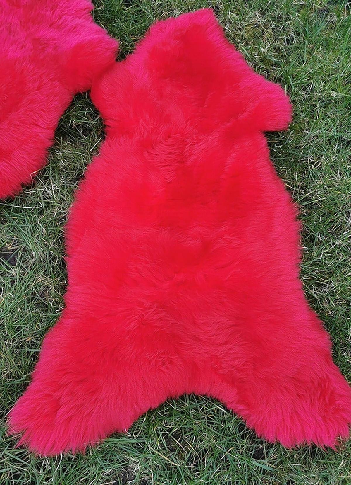 LAMMFELL Öko bunt gefärbt weich Fell Teppich Scarlett ca. 110 cm - Hellrot, Fell (60/110cm) - Provellus