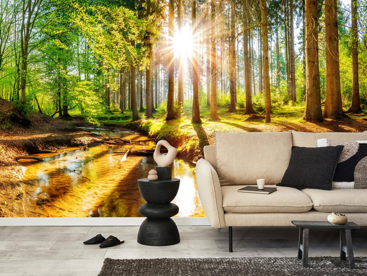 FOTOTAPETE für Wohnzimmer Pflanzen Natur Gras Sonniger Wald Bäume 250x175 - Multicolor, Papier (250/175cm) - Muralo