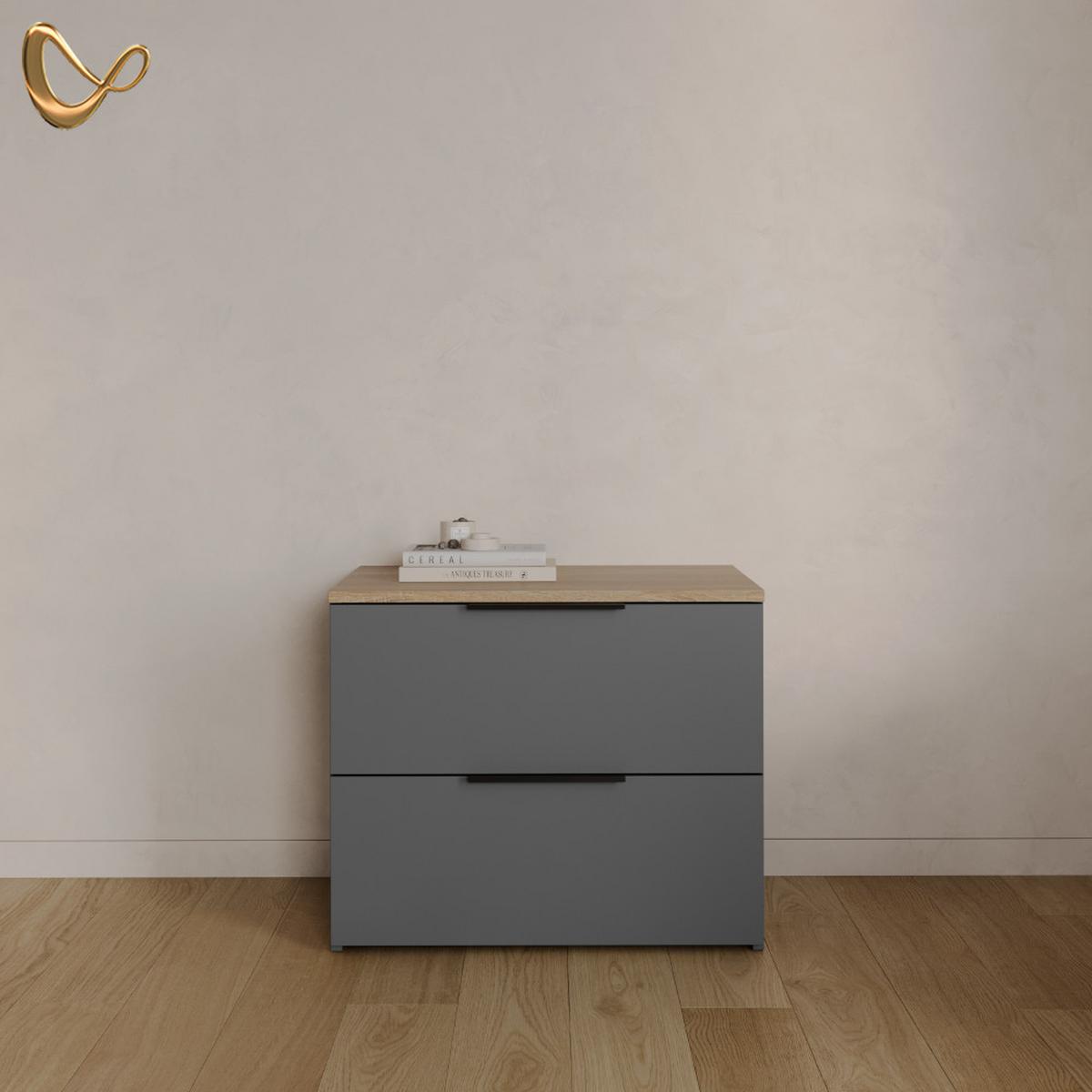 KOMMODE Piave Anthrazit 60 x 50 cm mit 2 Schubladen - Anthrazit, Holzwerkstoff (60/50/40cm) - Livinity®