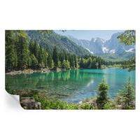 FOTOTAPETE 416x254 cm - Grüner See - Grün, Textil (416/254cm) - Wallfluent