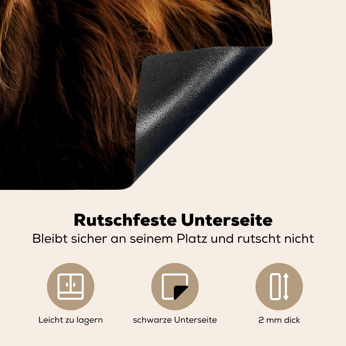 HERDABDECKPLATTE Schottischer Highlander - Hörner - Schwarz - Tiere - Natur - Wild - Kuh Induktionsschutz 80x52.2 cm - Cognac, Kunststoff (80.2/52.2/0.2cm) - MuchoWow