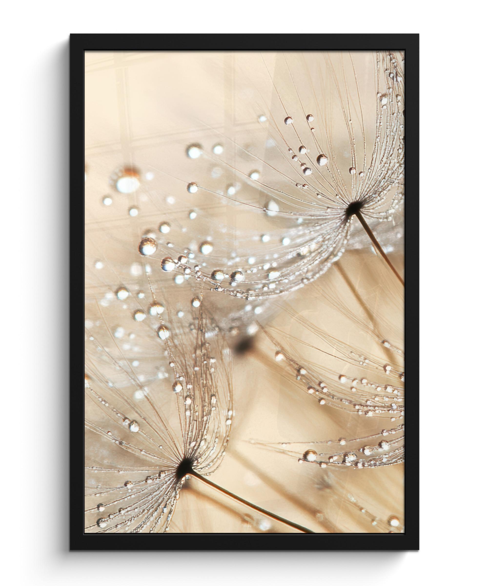 POSTER MIT RAHMENGERAHMTES BILD Löwenzahn - Abstrakt - Natur - Beige Bilder mit Rahmen 40x60 cm - Braun, Papier (40/60cm) - MuchoWow
