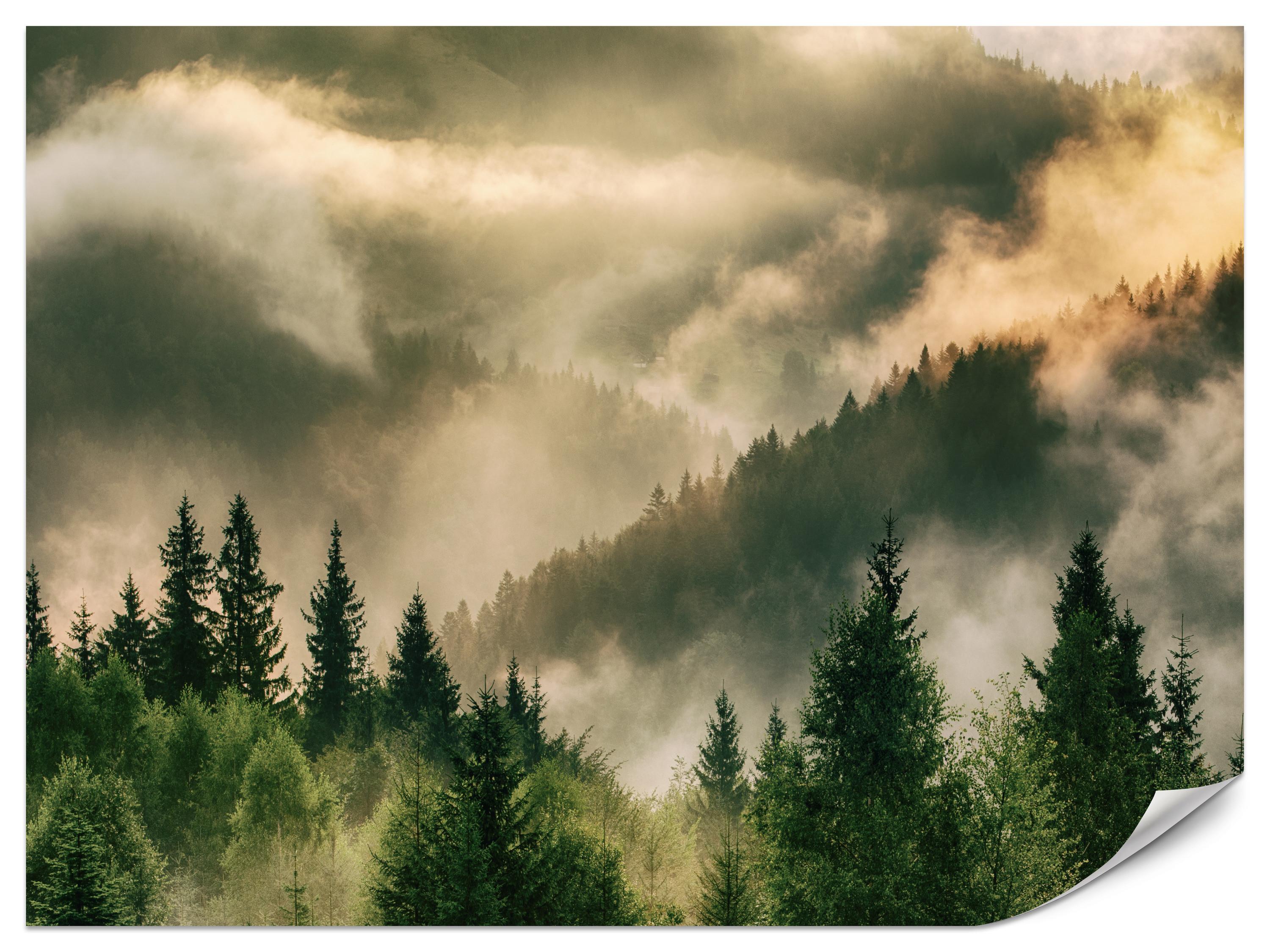 FOTOTAPETE für Wohnzimmer Neblige Landschaft Bergwald Nadelbäume 250x175 - Gelb/Orange, Papier (250/175cm) - Muralo