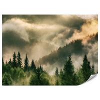 FOTOTAPETE für Wohnzimmer Neblige Landschaft Bergwald Nadelbäume 250x175 - Gelb/Orange, Papier (250/175cm) - Muralo