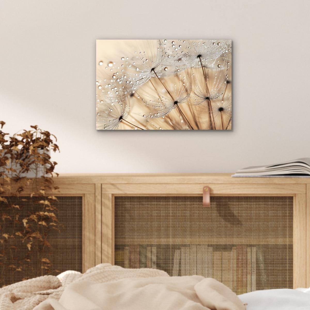 METALLBILD Löwenzahn - Abstrakt - Natur - Beige 30x20 cm - Braun, Metall (30/20cm) - MuchoWow