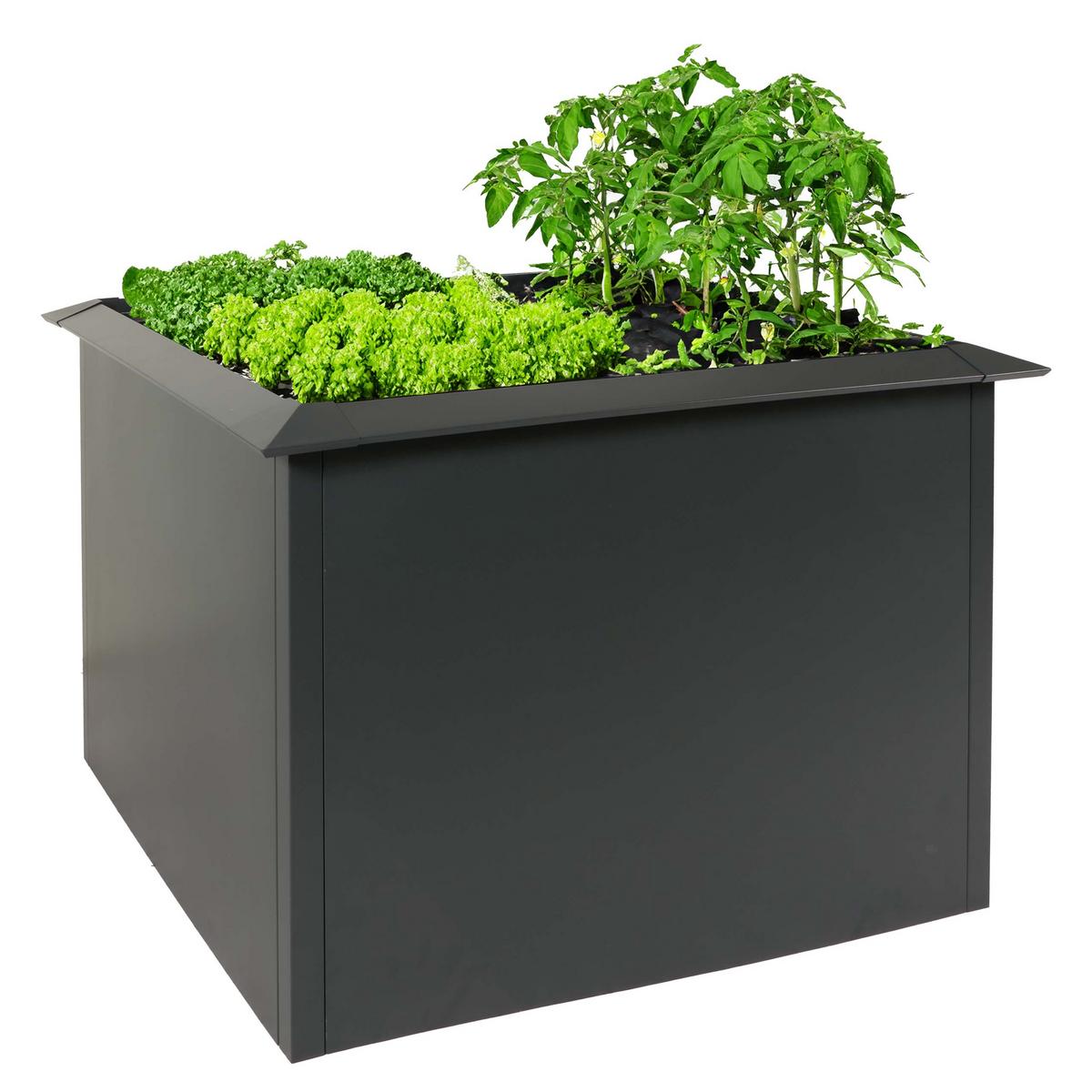 HOCHBEET SCHNECKENSCHUTZ Anthrazit - Anthrazit, Metall (110/78/110cm) - MCW