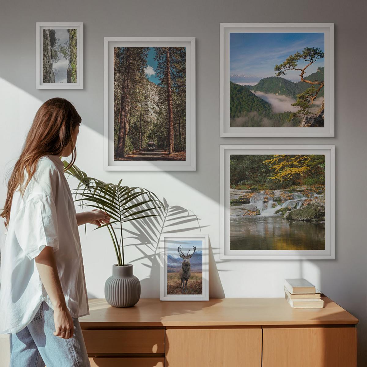 BILDER SET 5er Set - 50x50 cm & 20x30 cm & 40x60 cm Weißer Rahmen - Wasserfall Wald Berge Hirsch Natur - Weiß, Kunststoff (40/60cm) - TULUP
