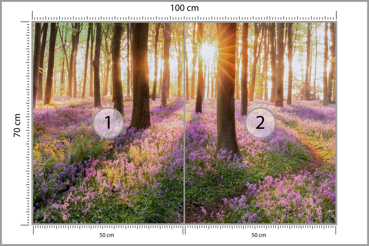 FOTOTAPETE Wald Blumen Sonnenaufgang Landschaft 3D 100x70 - Gelb/Beige, Papier (100/70cm) - Muralo