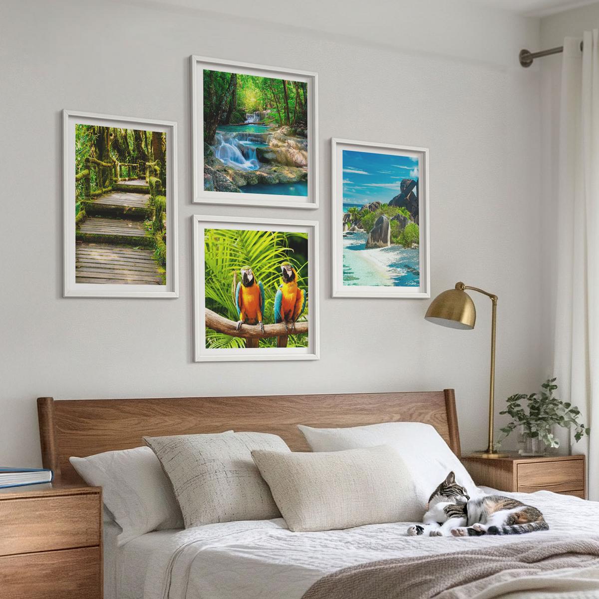 BILDER SET 4er Set - 50x50 cm & 40x60 cm Weißer Rahmen - Tropischer Wald Papageienwasserfall - Weiß, Kunststoff (50/50cm) - TULUP