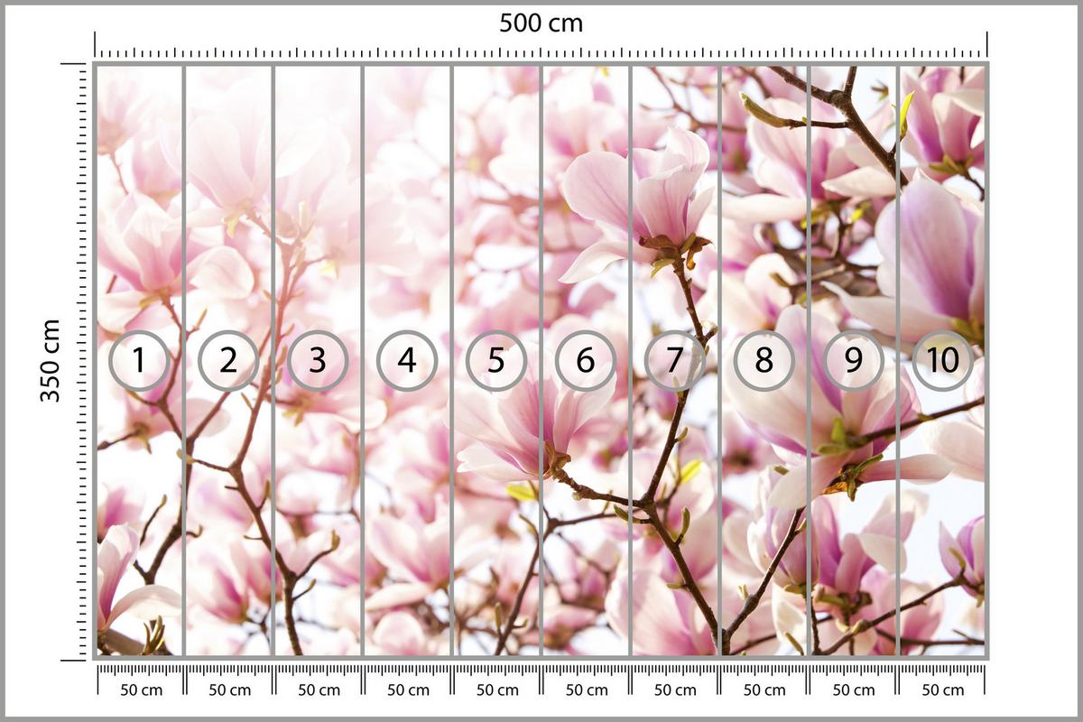 FOTOTAPETE für Schlafzimmer Rosa Magnolienblüten Floral Delikat 500x350 - Violett/Rosa, Papier (500/350cm) - Muralo
