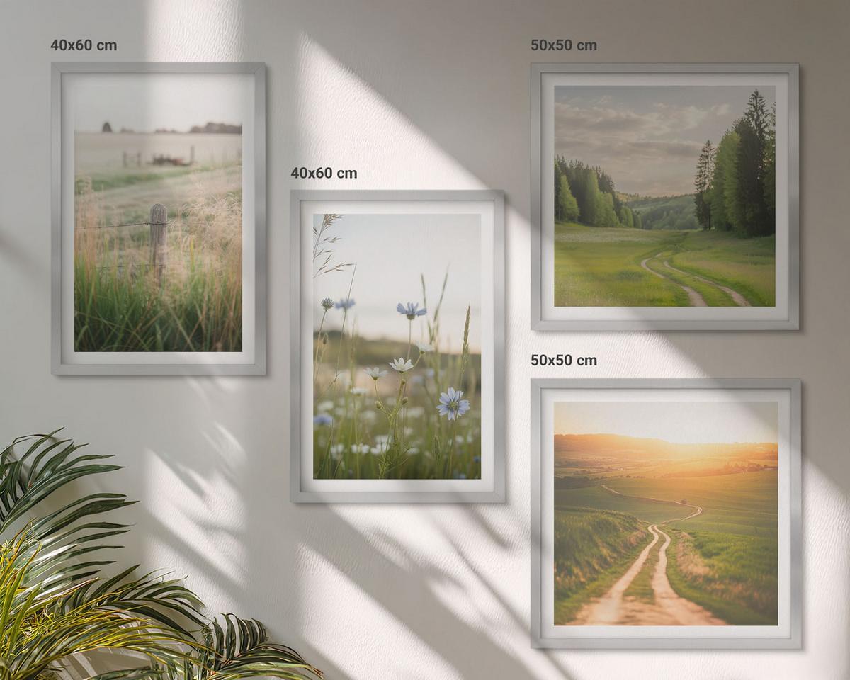 BILDER SET 4er Set - 50x50 cm & 40x60 cm Silberner Rahmen - Landschaften Natur Felder Sonne - Silberfarben, Kunststoff (50/50cm) - TULUP