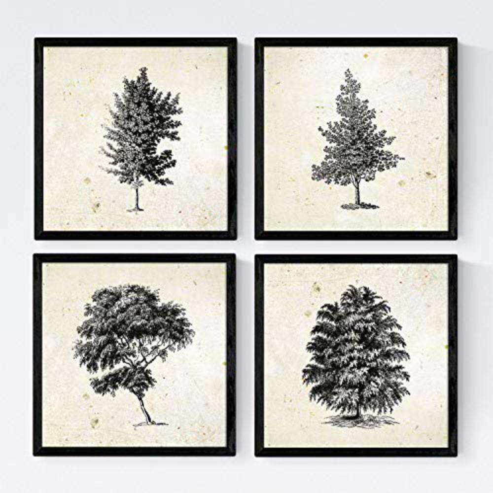 POSTER Set mit 4 Blättern der Bäume struktur Jahrgang Hintergrund 30x30 cm Rahmenlos - Klar, Papier (30/3cm) - Nacnic