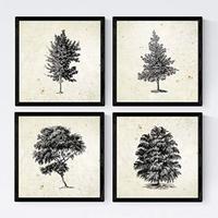 POSTER Set mit 4 Blättern der Bäume struktur Jahrgang Hintergrund 30x30 cm Rahmenlos - Klar, Papier (30/3cm) - Nacnic