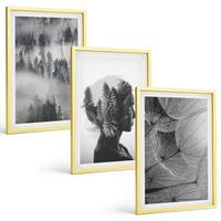 BILDER SET 3er Set - 40x60 cm Goldrahmen - Waldnebelporträt Baum Löwenzahn - Goldfarben, Kunststoff (40/60cm) - TULUP