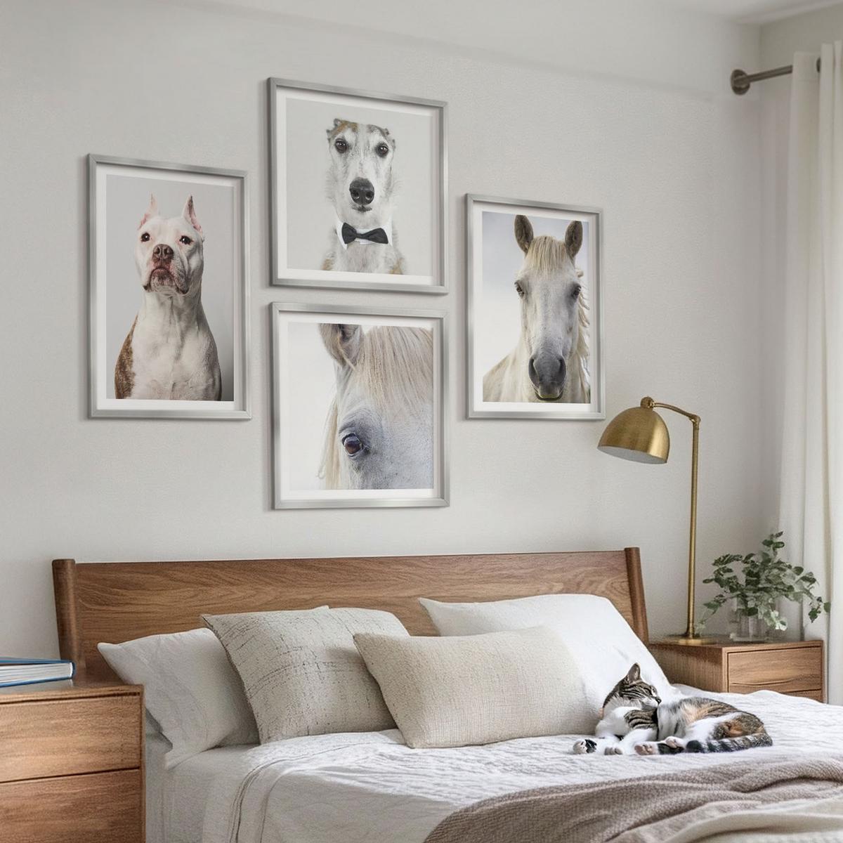 BILDER SET 4er Set - 50x50 cm & 40x60 cm Silberner Rahmen - Elegante Porträts von Hunden und Pferden - Silberfarben, Kunststoff (50/50cm) - TULUP