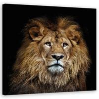 WANDBILD majestätischer löwe - Beige, Textil (50/50cm) - Feeby