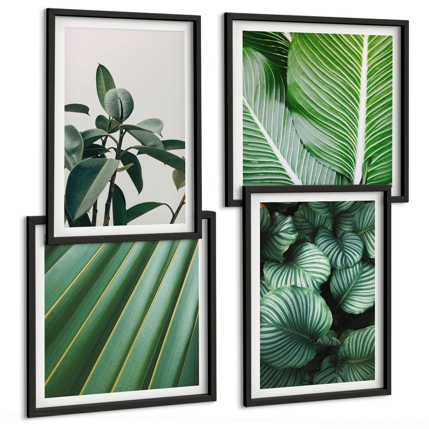 BILDER SET 4er Set - 50x50 cm & 40x60 cm Schwarzer Rahmen - Tropische Blätter in Grün - Schwarz, Kunststoff (50/50cm) - TULUP