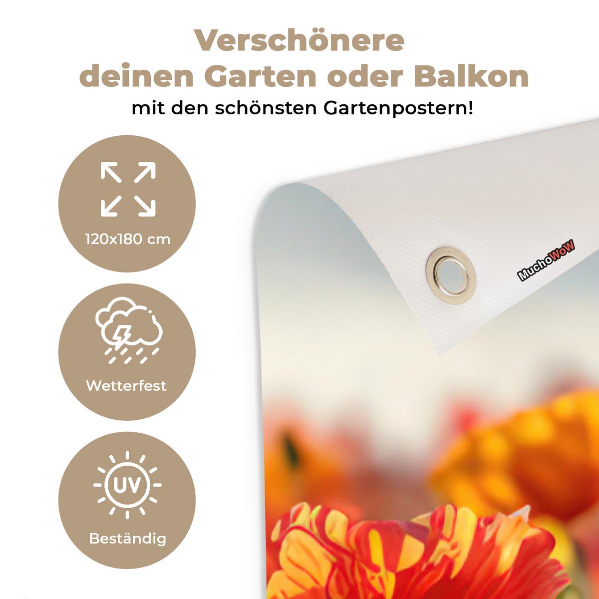 GARTENPOSTER Blumen - Mohnblumen - Farbenfroh - Natur Bild 120x180 cm - Dunkelorange, Kunststoff (120/180/0.2cm) - OnlyWow