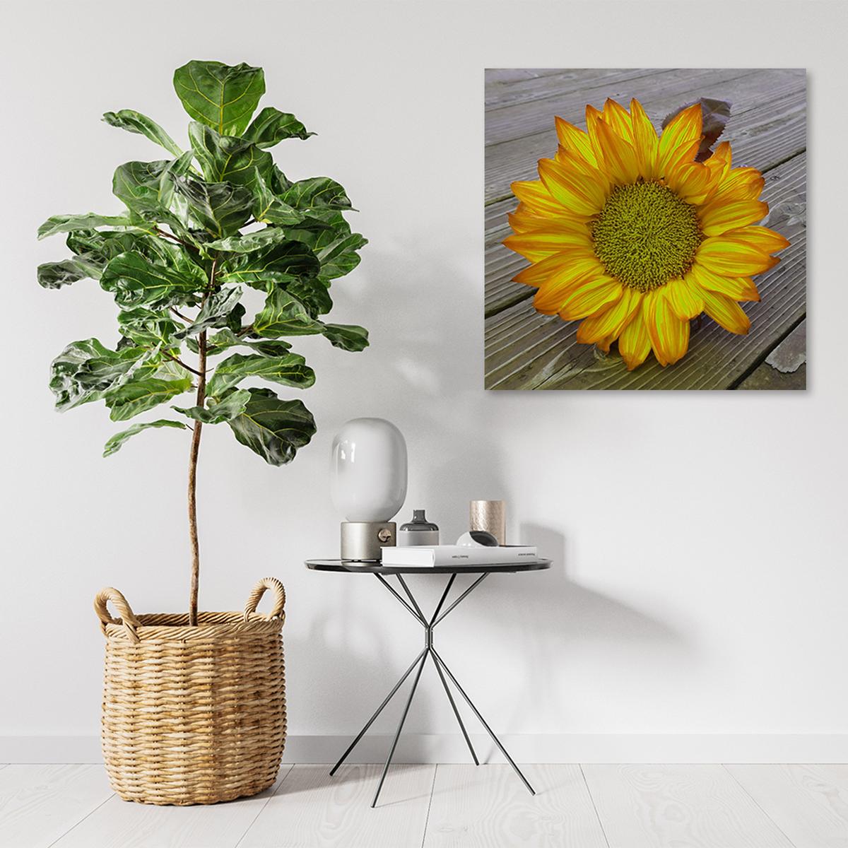 WANDBILD gelbe sonnenblume - Gelb, Textil (30/30cm) - Feeby