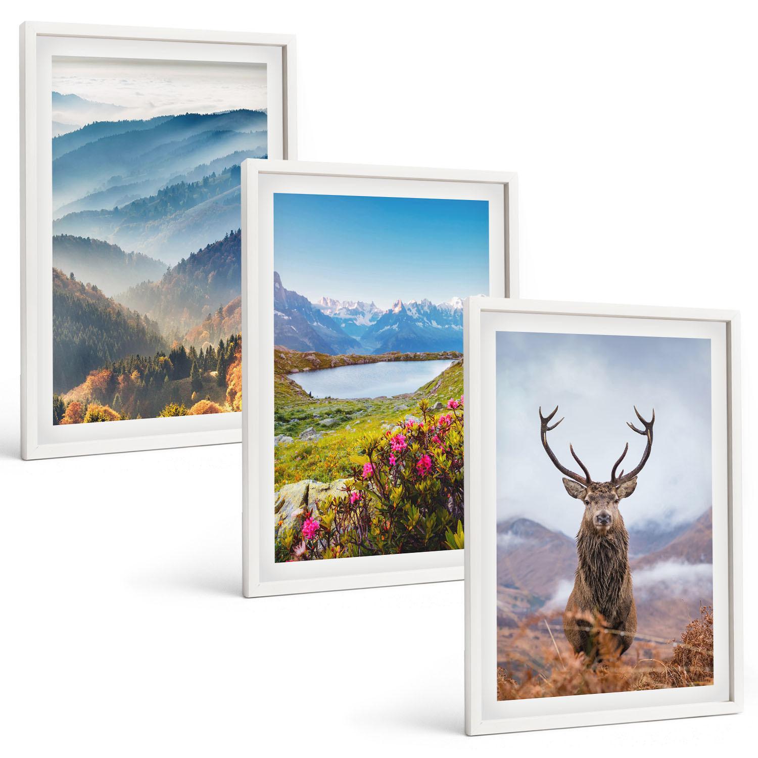 BILDER SET 3er Set - 40x60 cm Weißer Rahmen - Natur des Bergseehirsches - Weiß, Kunststoff (40/60cm) - TULUP
