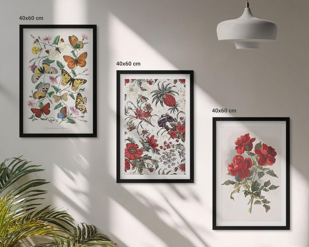 BILDER SET 3er Set - 40x60 cm Schwarzer Rahmen - Schmetterlinge, Blumen, rote Rosen - Schwarz, Kunststoff (40/60cm) - TULUP