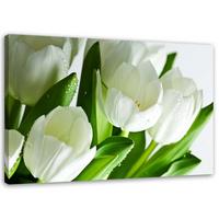 LEINWANDBILD Weiße Tulpen 60x40cm - Grün, Textil (60/40cm) - Feeby