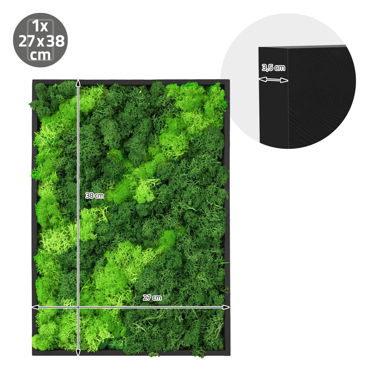 MOOSBILD Rechteck 38 x 27 cm Mooswand Indoor mit Echtem Islandmoos und Holzrahmen Grün Pflegefrei - Hellgrün, Naturmaterialien (27/38/3.5cm) - ECD-Germany