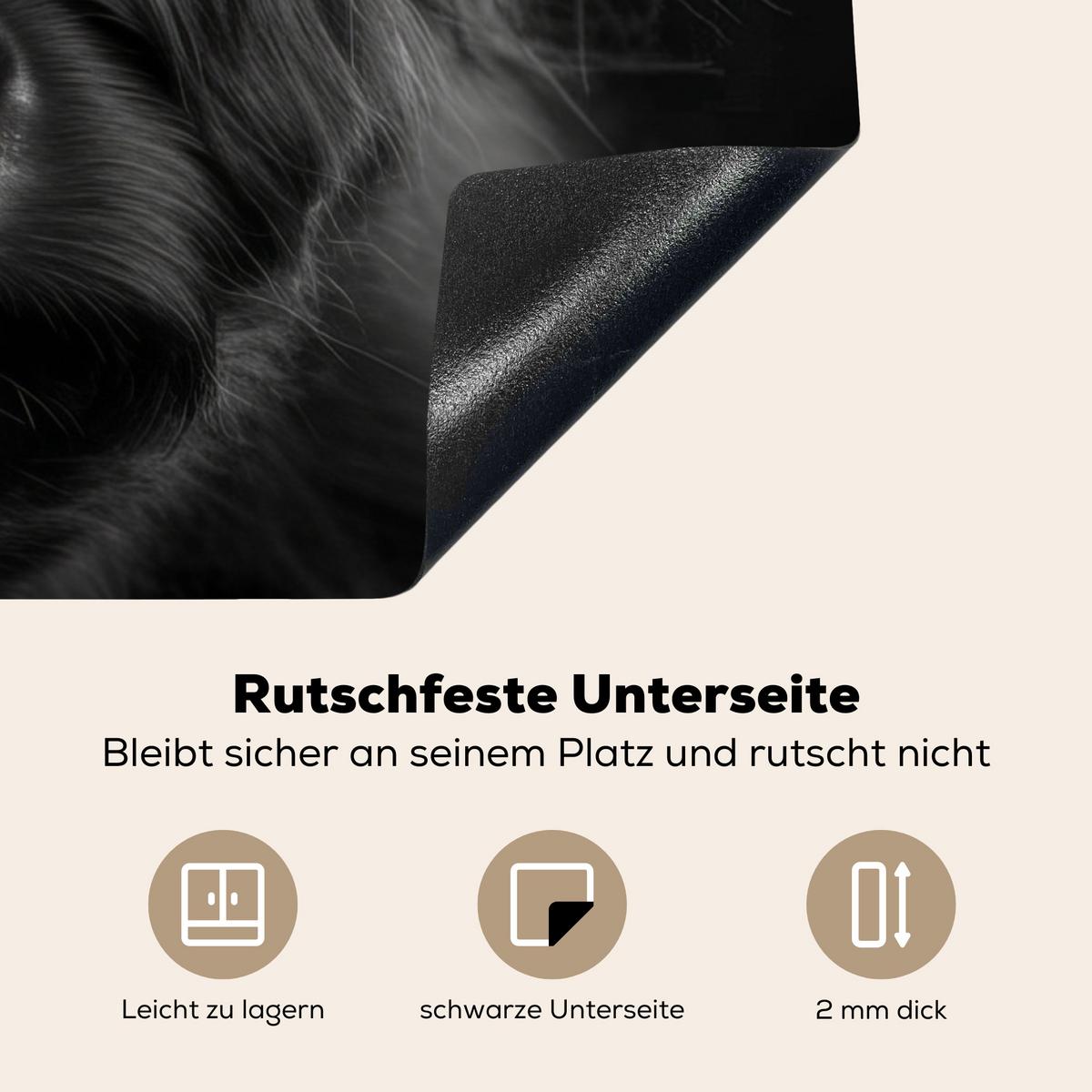 HERDABDECKPLATTE Scottish Highlander - Schwarz - Kalb - Kuh Induktionsmatte 78x78 cm - Schwarz, Kunststoff (78/78/0.2cm) - MuchoWow