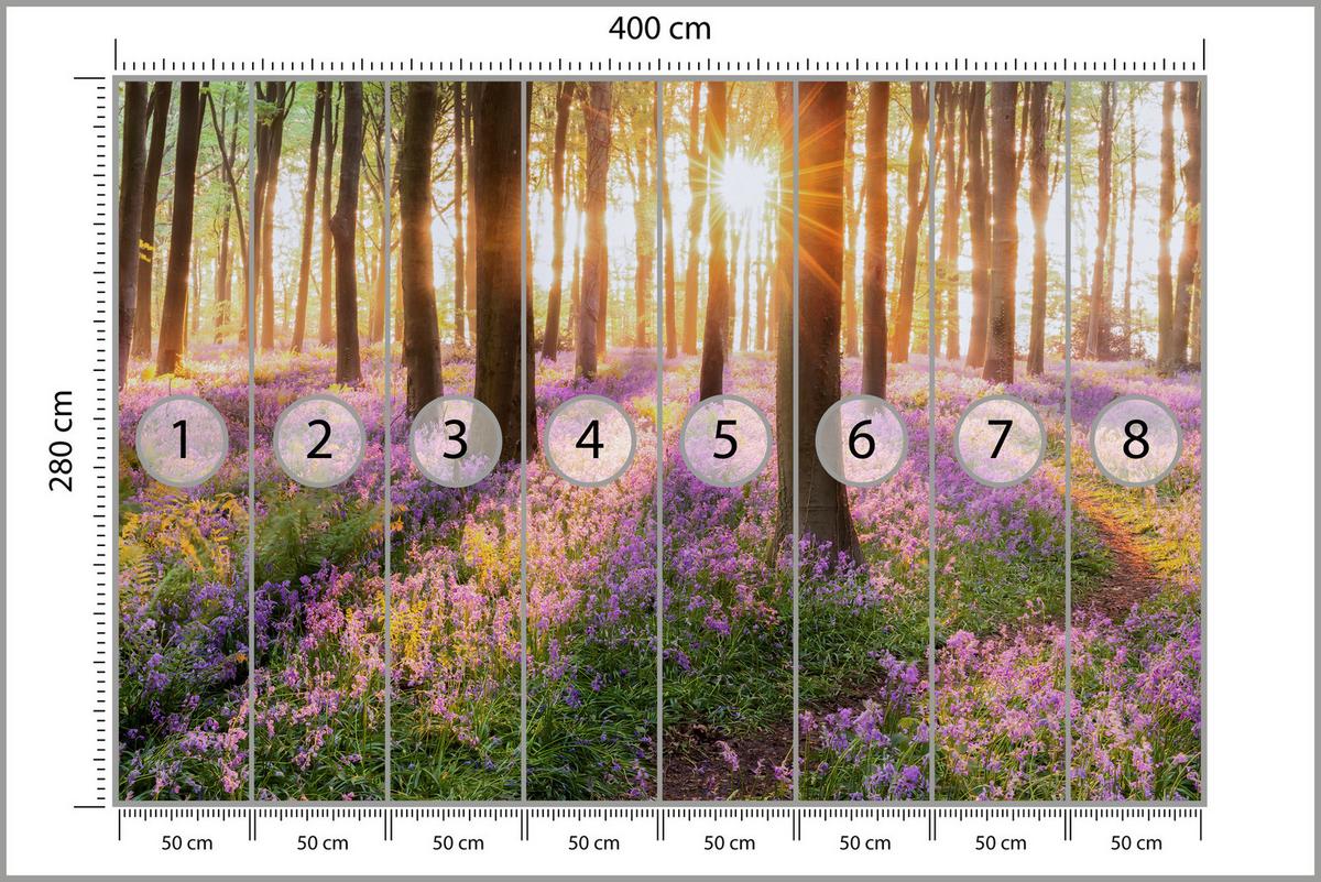 FOTOTAPETE Wald Blumen Sonnenaufgang Landschaft 3D 400x280 - Gelb/Beige, Papier (400/280cm) - Muralo