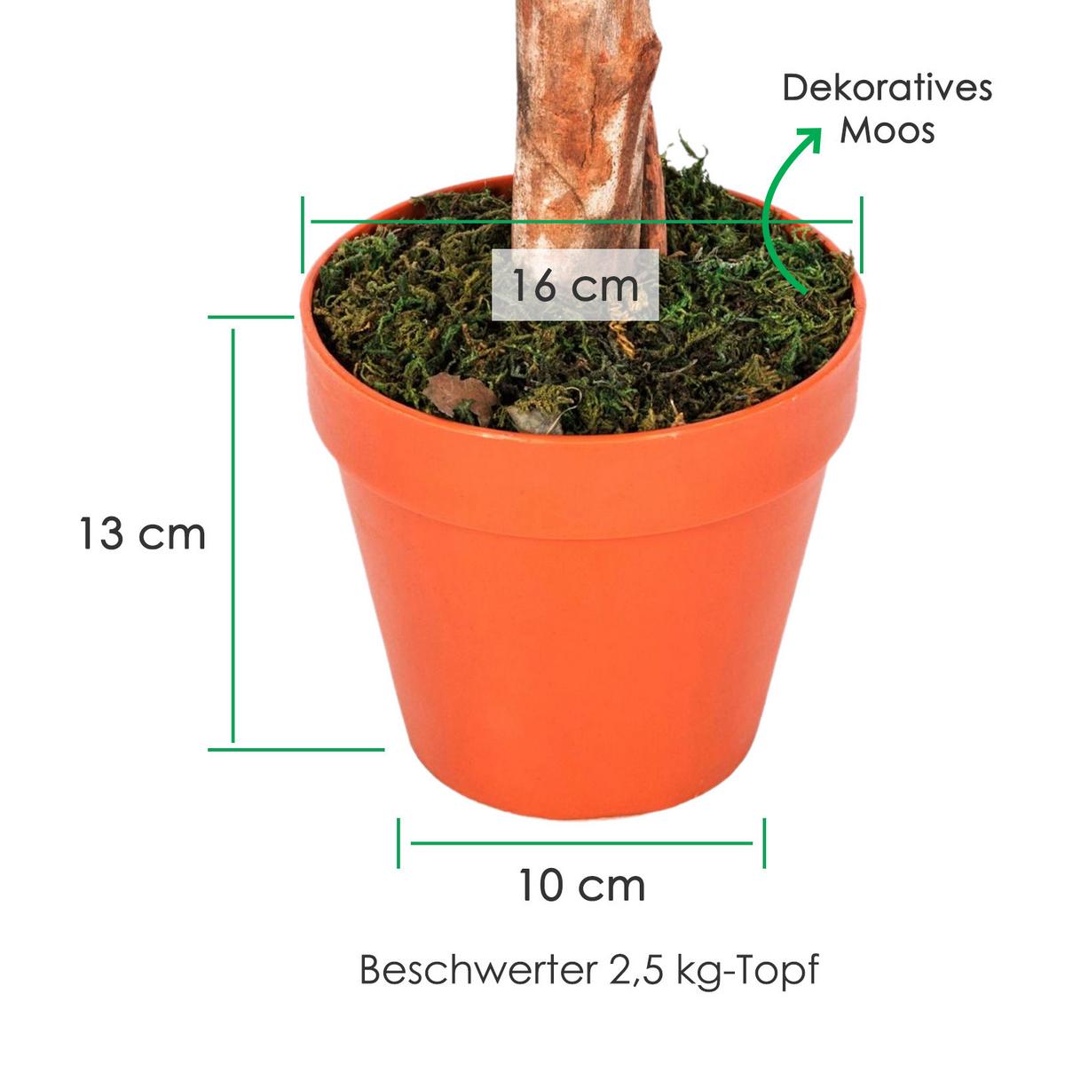 KUNSTBAUM Ficus formgeschnitten, 125 cm - Grün, Kunststoff (125cm) - Homescapes