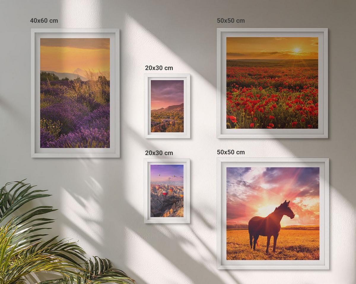 BILDER SET 5er Set - 50x50 cm & 20x30 cm & 40x60 cm Weißer Rahmen - Berglandschaft Rosslavendel - Weiß, Kunststoff (40/60cm) - TULUP