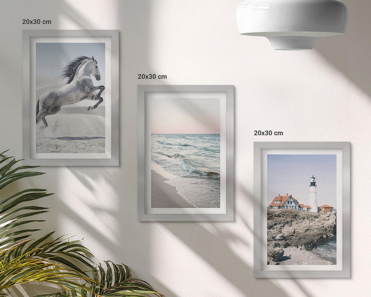 BILDER SET 3er Set - 20x30 cm Silberner Rahmen - Pferde, Strand, Leuchtturm, Wellen - Silberfarben, Kunststoff (20/30cm) - TULUP