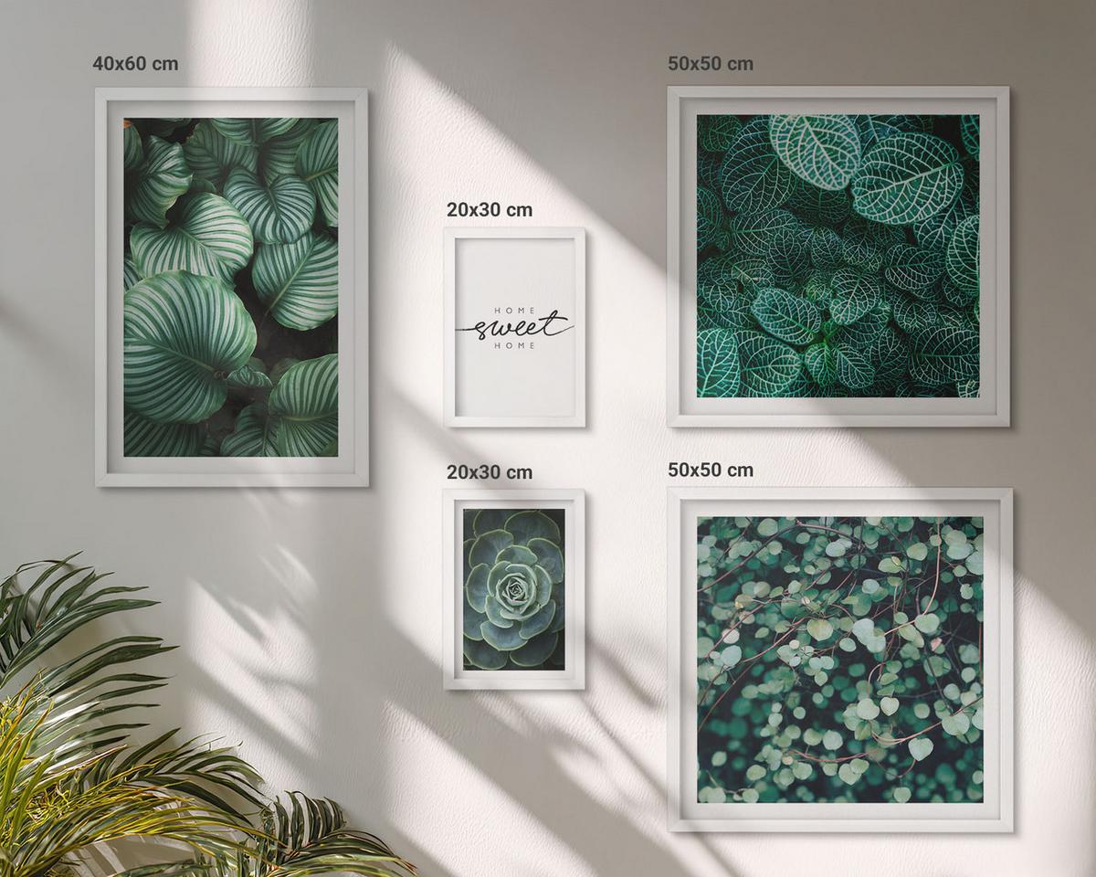 BILDER SET 5er Set - 50x50 cm & 20x30 cm & 40x60 cm Weißer Rahmen - Wellen, Sand, Wasser, Steine, Strand - Weiß, Kunststoff (40/60cm) - TULUP