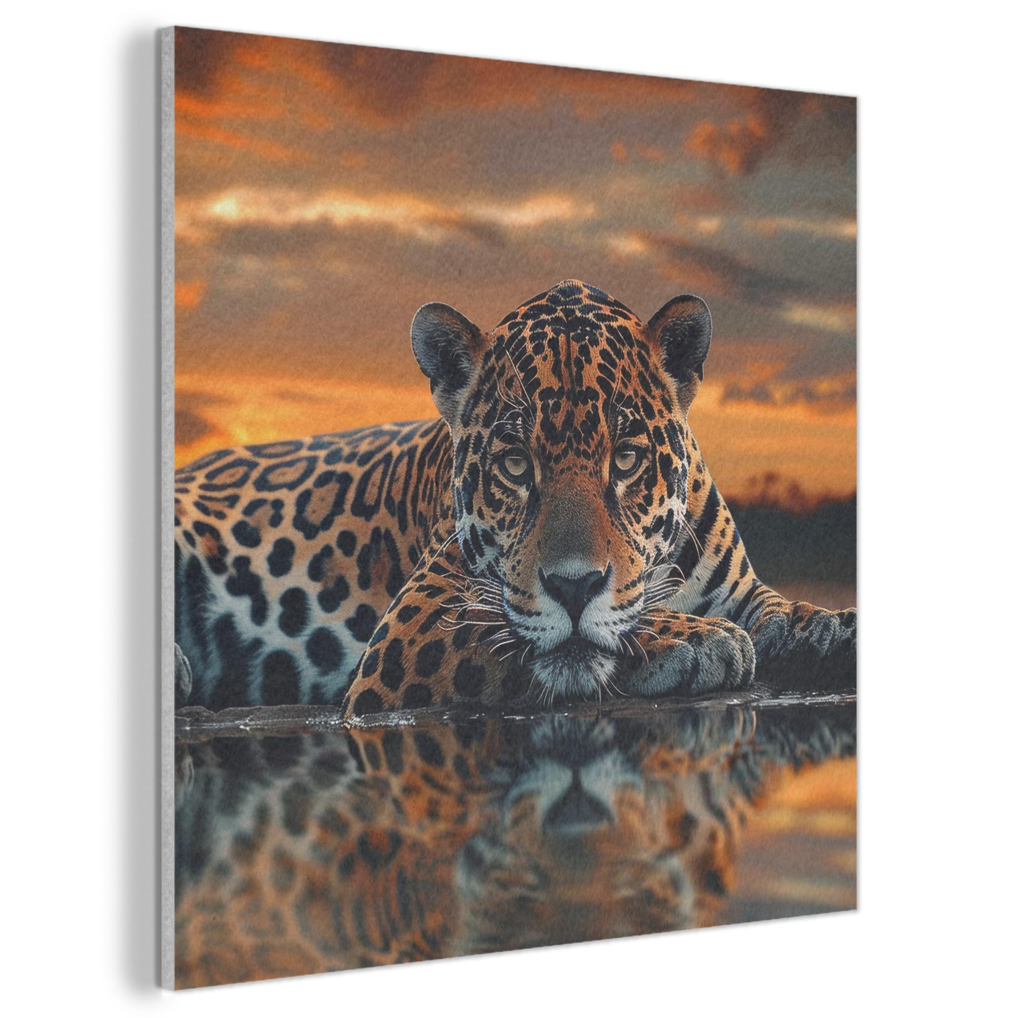 AKUSTIKBILD Natur - Leopard - Tier - Sonnenuntergang - Modern Akustikpaneele 80x80 cm - Orange, Kunststoff (80/80/0.9cm) - MuchoWow