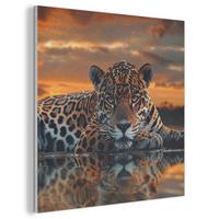 AKUSTIKBILD Natur - Leopard - Tier - Sonnenuntergang - Modern Wandbilder 60x60 cm - Orange, Kunststoff (60/60/0.9cm) - MuchoWow