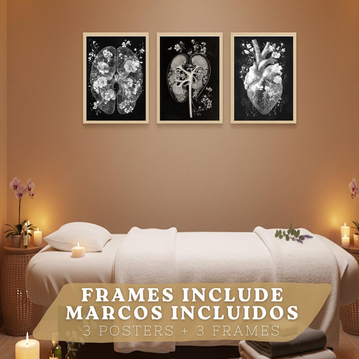 POSTER Set aus 3 Anatomie Drucke und mit Inneren Organen Gehirn Herz Nieren Minimalistisches Schwarz Weiß Design Größe Leichter Holzrahmen A4 - Beige, Papier (21/29.7/3cm) - Nacnic