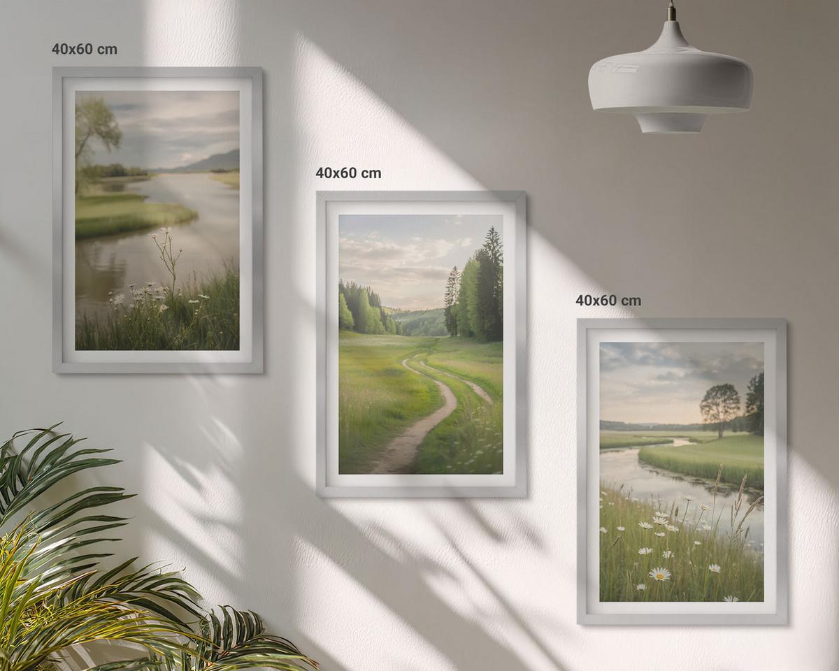 BILDER SET 3er Set - 40x60 cm Silberner Rahmen - Sommerliche Flusswiesen voller Blumen - Silberfarben, Kunststoff (40/60cm) - TULUP