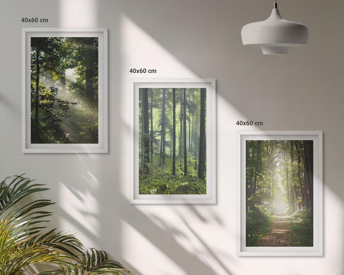 BILDER SET 3er Set - 40x60 cm Weißer Rahmen - Grüne Wälder mit Lichtstrahlen - Weiß, Kunststoff (40/60cm) - TULUP
