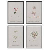 POSTER Set mit 4 mit kleinen Pflanzenblättern aus dem Künstler PierreJoseph Redouté A4 Schwarzer Rahmen - Schwarz, Papier (29.7/3cm) - Nacnic