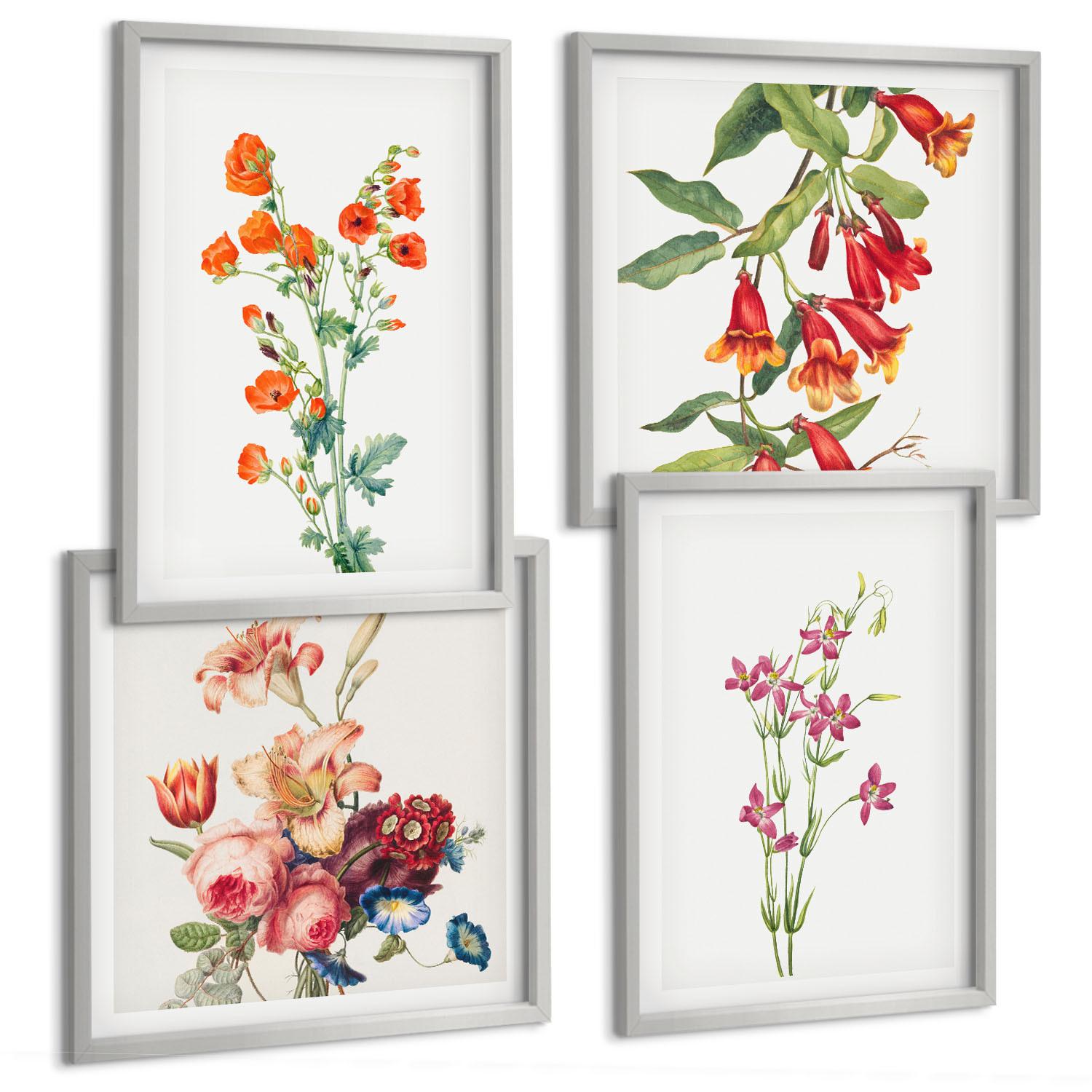 BILDER SET 4er Set - 50x50 cm & 40x60 cm Silberner Rahmen - Blumenmalerei im Retro-Stil - Silberfarben, Kunststoff (50/50cm) - TULUP