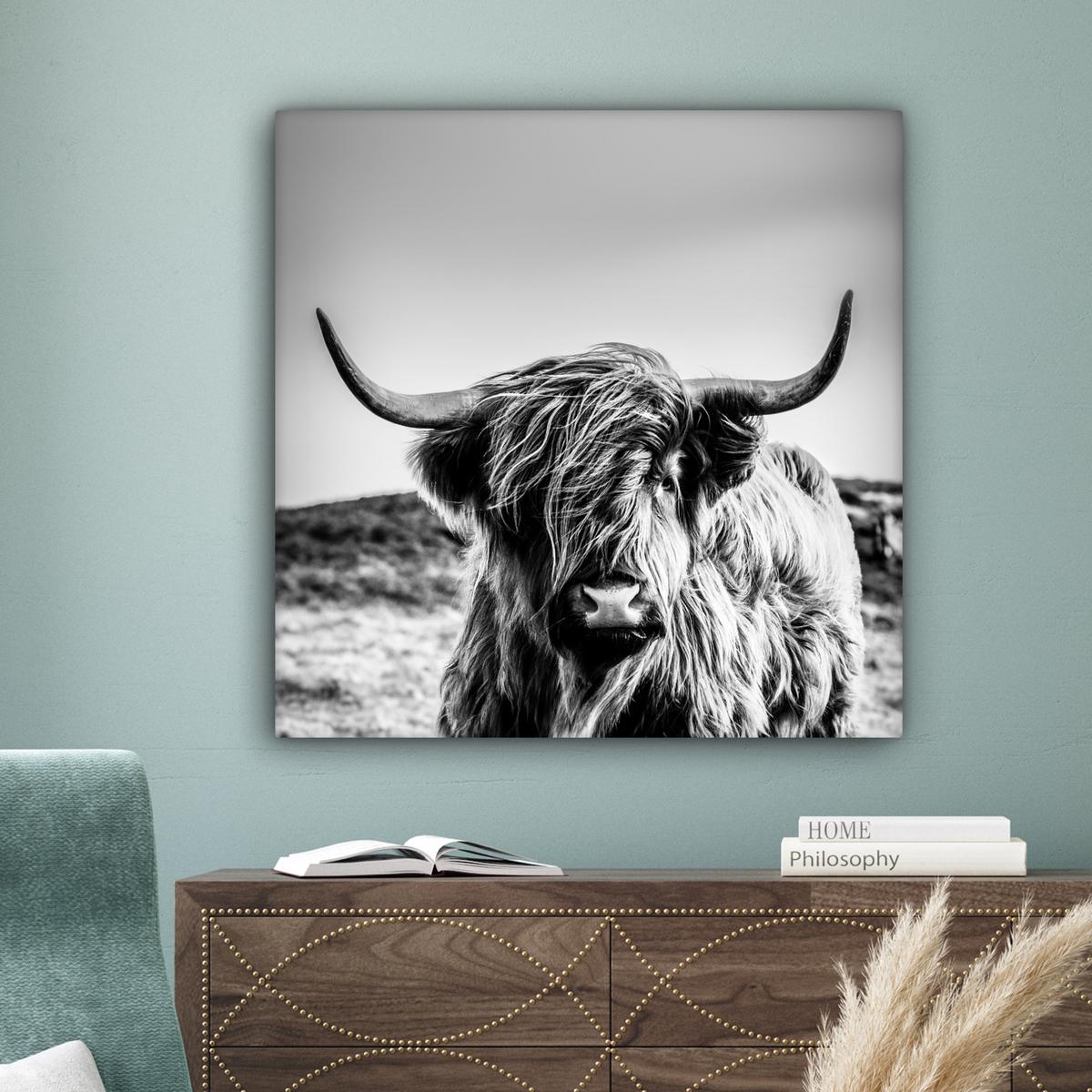 LEINWANDBILD Kuh - Schottischer Hochländer - Schwarz - Weiß - Tier - Natur - Wildtiere Deko Groß 90x90 cm - Schwarz, Textil (90/90cm) - MuchoWow