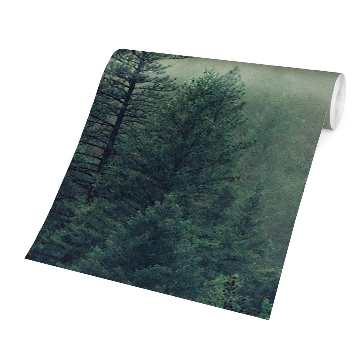 FOTOTAPETE Wald im Nebel Erwachen 384/255 cm - Grün, Papier (384/255cm) - Bilderwelten