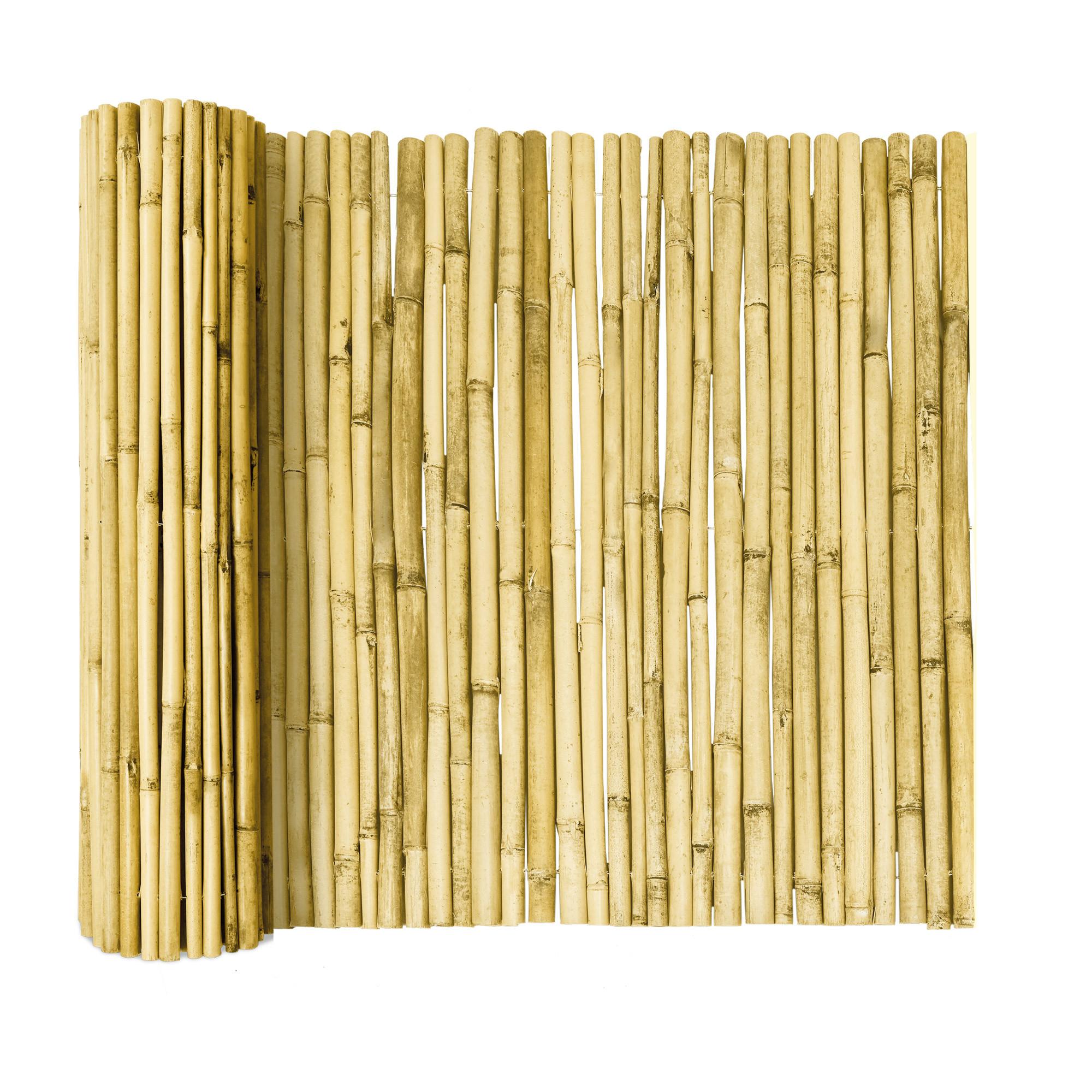 SICHTSCHUTZZAUN SolVision B89 90/250 cm Bambus Hell - Weiß, Naturmaterialien (250/90cm) - Sol Royal